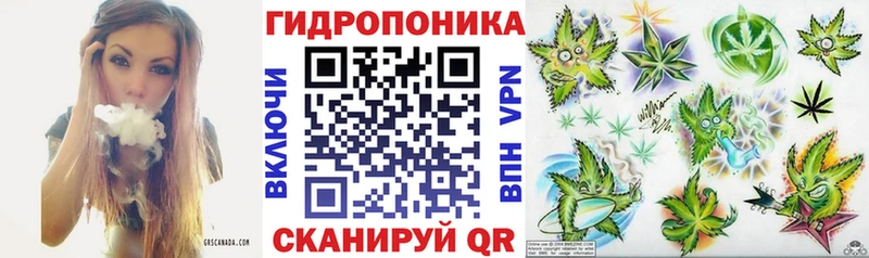 Галлюциногенные грибы Смоленск