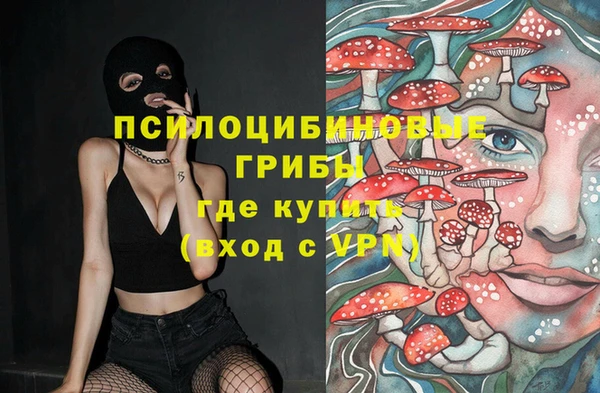 не бодяженный Белокуриха